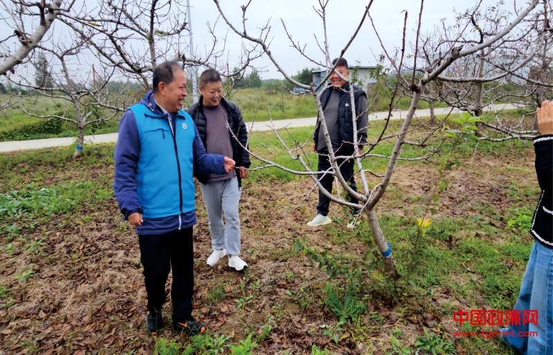 未命名 -33(1).jpg