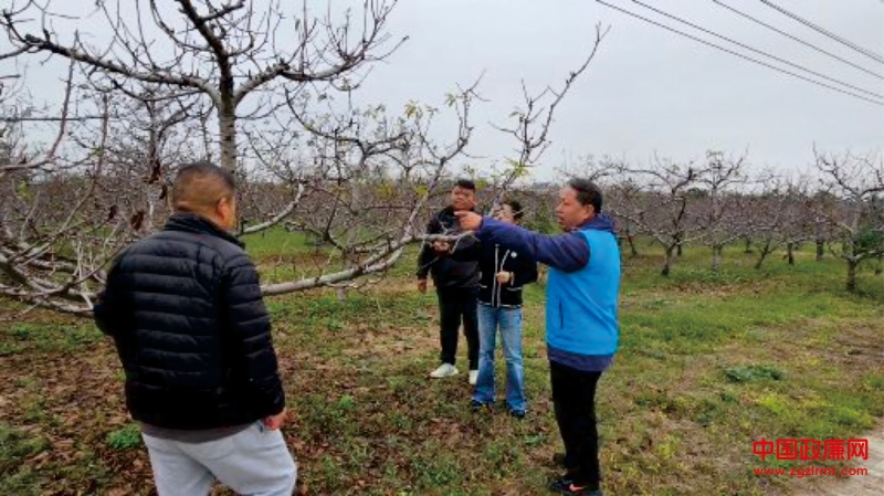 未命名 -22(1).jpg